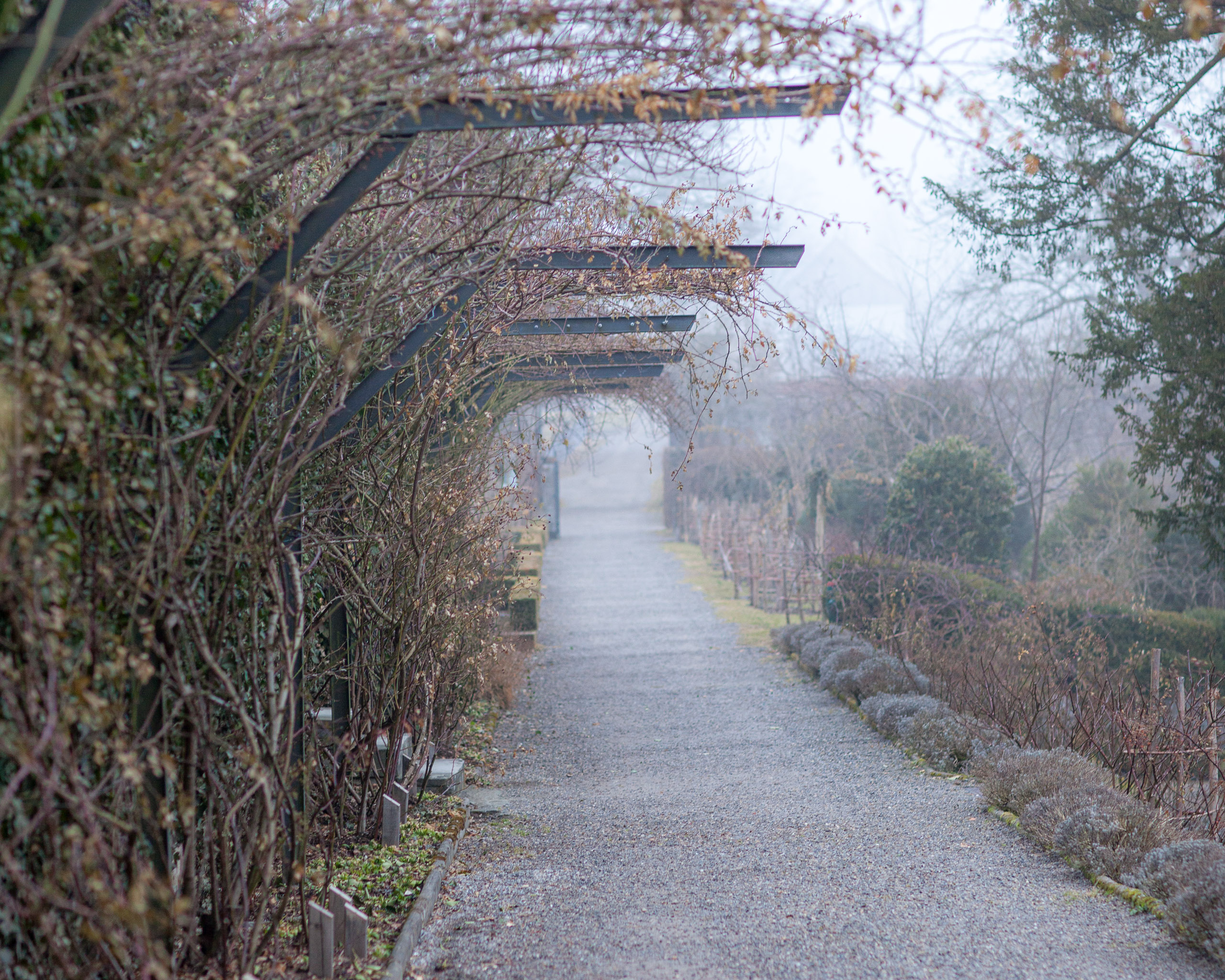 20120225073236 IMG 3321